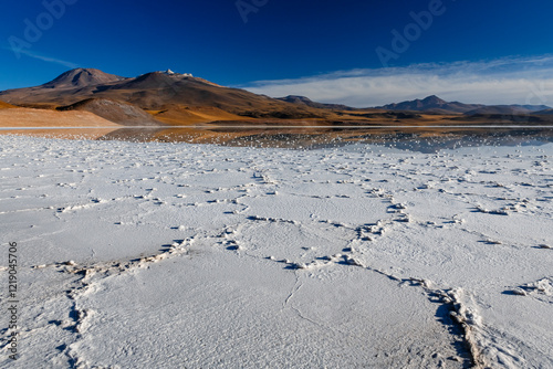 White salt hexagons on laguna tuyajto photo