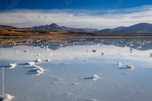 Laguna tuyajto and atacama mountains on a pale morning