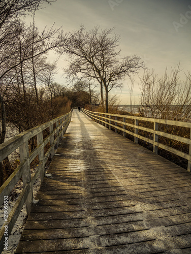 Wooden boardwalk with strollers in a serene winter seascape, surrounded by bare trees under cloudy skies photo