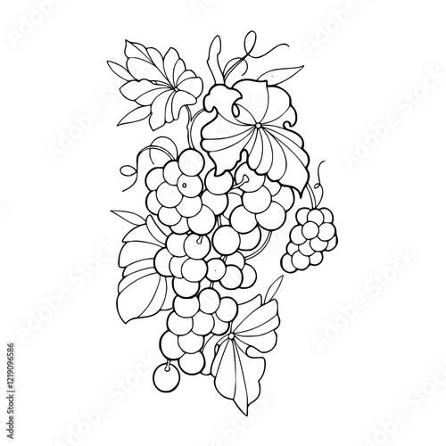 bunch of grapes coloring page