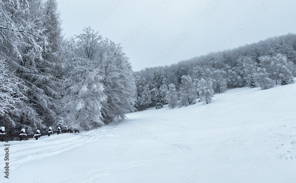 Charming and quiet mountain valley amidst snow-covered forests during a harsh winter