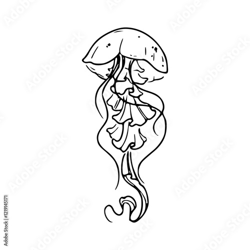 a line art drawing of a jellyfish illustration