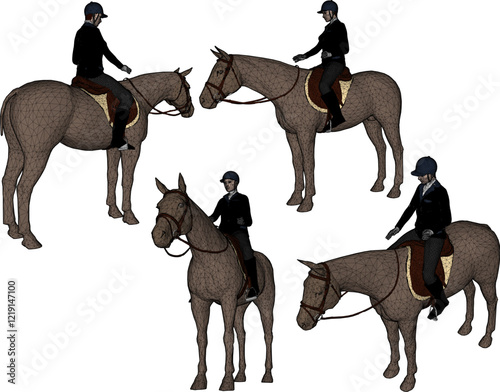vector illustration design of professional horse rider for jockey competition