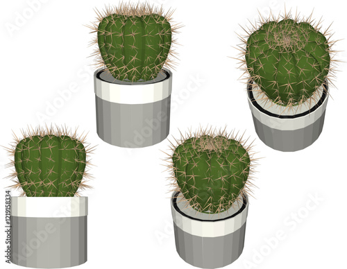 vector illustration of a succulent cactus plant to decorate the interior of the house
