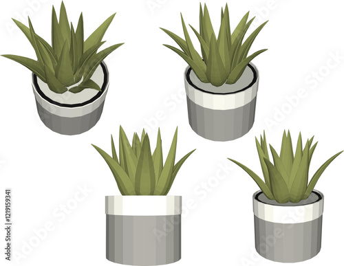 vector illustration of a succulent cactus plant to decorate the interior of the house