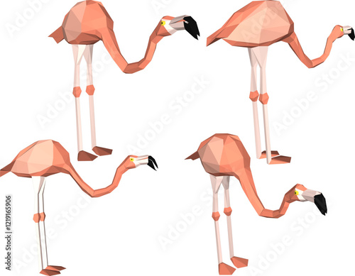 vector illustration of flamingo bird animal design with long legs and beak