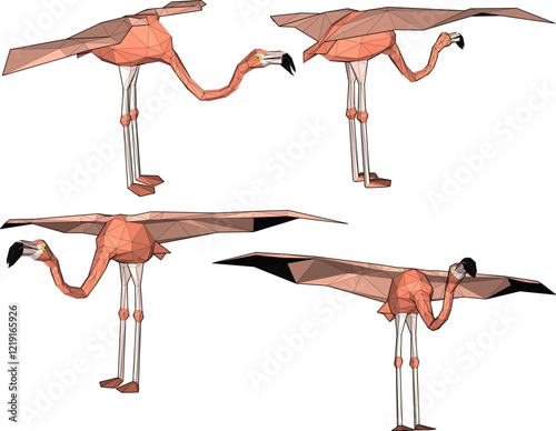 vector illustration of flamingo bird animal design with long legs and beak 