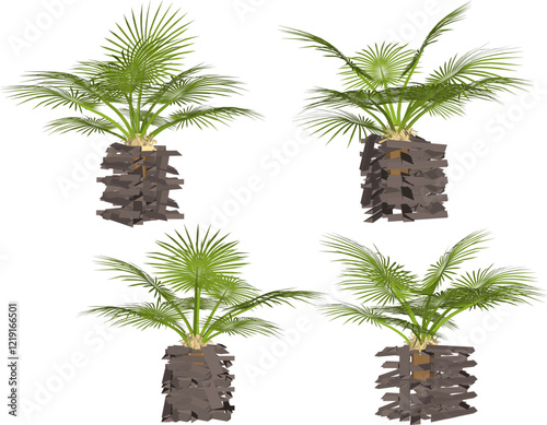 vector illustration of interior decoration design of living room beautiful palm plants in pots