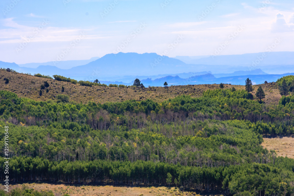 Obraz premium A lush green hillside with a mountain in the background