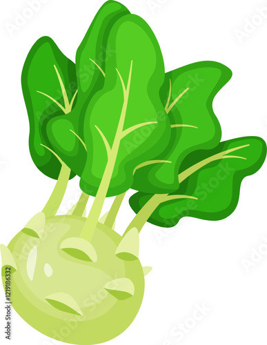 Kohlrabi vegetable showcasing vibrant green leaves, growing against a white background. Celebrating healthy eating, this fresh vegan ingredient highlights nutrition and organic goodness