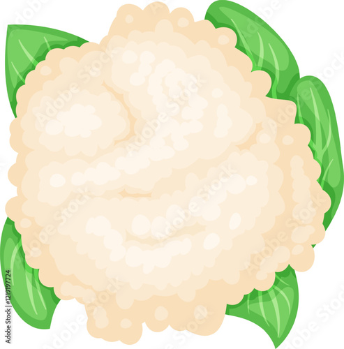 Cauliflower head with vibrant green leaves, embodying healthy eating and vegetarian cuisine, offering a fresh and nutritious ingredient for culinary creations
