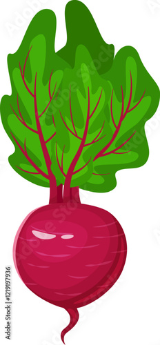 Fresh beet with large green leaves growing in fertile soil, a healthy and delicious root vegetable perfect for salads and other culinary creations