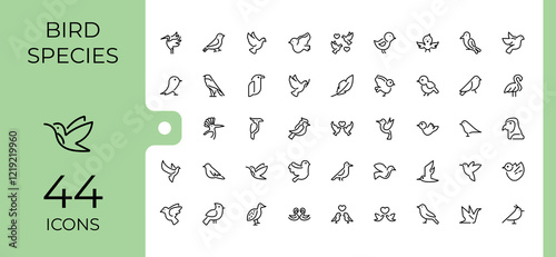 Bird Species icon pack. Featuring cute, free, chick, wild, pet, feather, wing, penguin. Perfect for logos and infographics. Editable vector stroke.
