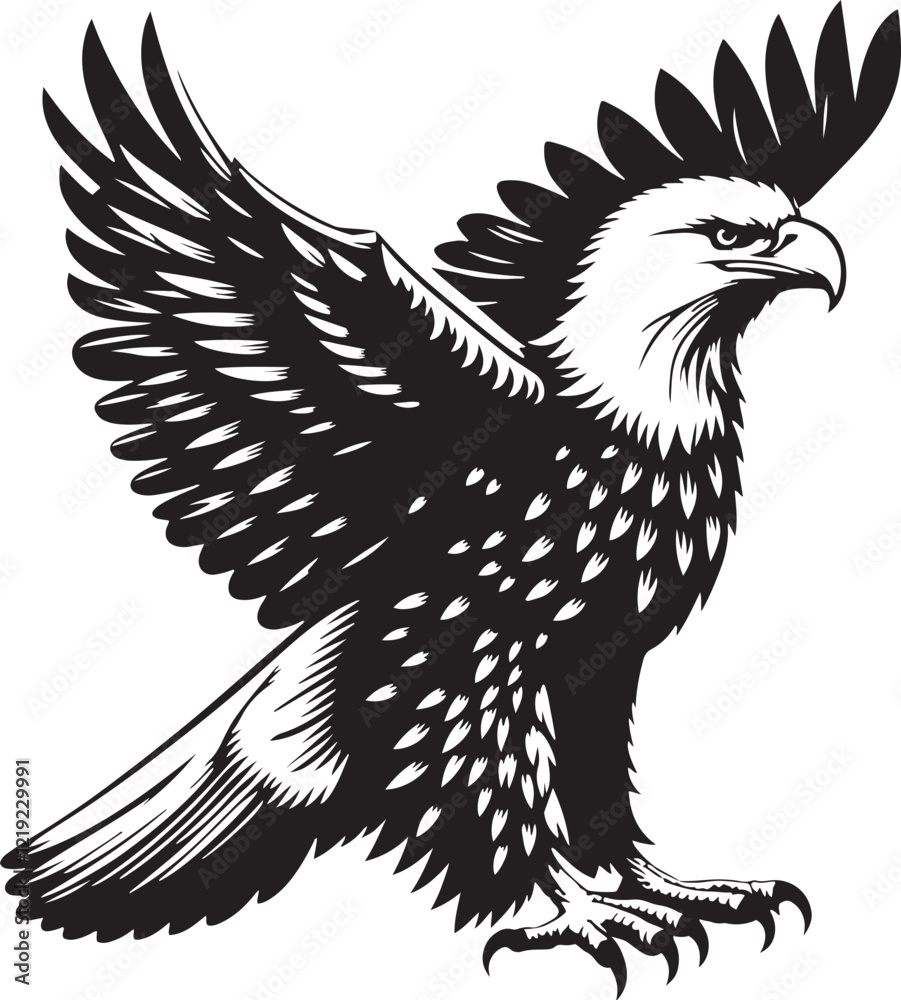 Obraz premium Eagle in flight, Vector Eagle Mascot, Silhouettes of wild birds in flight, Eagle Mascot Vector Illustration