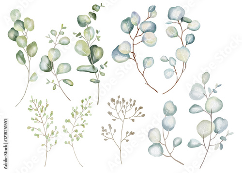 Hand-drawn watercolor illustration of ten elegant eucalyptus branches with lush, aromatic leaves. Perfect for wedding invitations, botanical prints, minimalist home decor, romantic greeting cards.