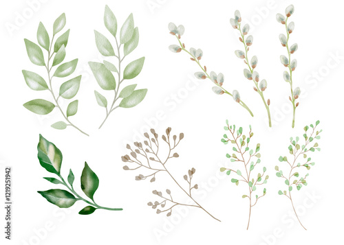 Hand-drawn watercolor illustration of nine elegant branches including eucalyptus and willow. Perfect for wedding invitations, botanical prints, minimalist home decor and romantic greeting cards.