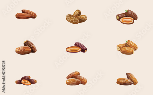 dates fruit vector looks delicious with nine style