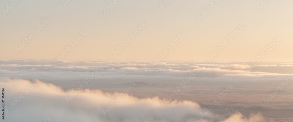 light on earth and sun , copy space concept for wallpaper or background light on earth and sun , copy space concept for wallpaper or background
