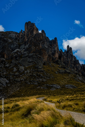 Bosque de piedras Huayllay Peru