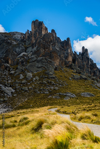 Bosque de piedras Huayllay Peru
