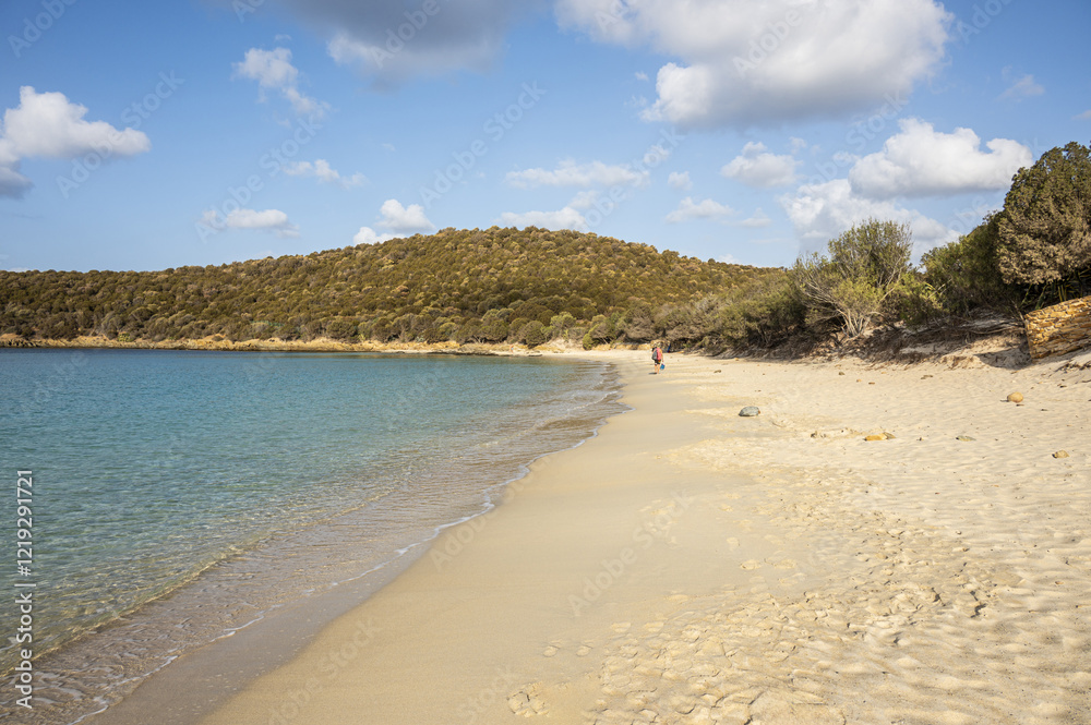 Aerial view of Tuerredda bay with the beach of fine sand and transparent blue and turquoise water