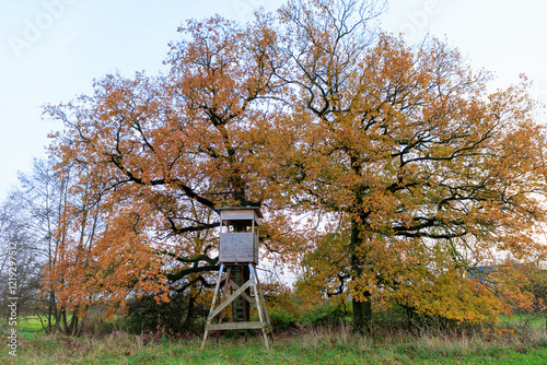 Hochstand im Herbst