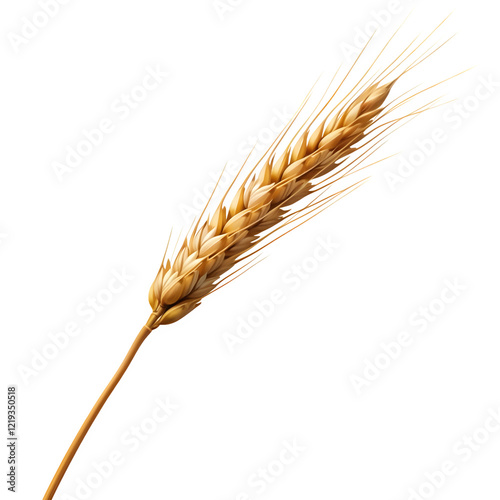 Ear of Wheat Spikelet Transparent Background