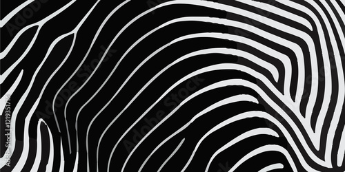 Wallpaper Mural Minimalist Black Background with an Intricate Pattern of Flowing White Wavy Lines: A Modern Abstract Design. Elegant Abstract Design Featuring a Black Backdrop with Contrasting White Wavy Lines Torontodigital.ca