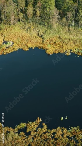 Braslaw Or Braslau, Vitebsk Region, Belarus. Aerial View Of Round Lake And Green Forest Landscape In Sunny Autumn Day. Top View Of Famous Lakes. Natural Landmark photo