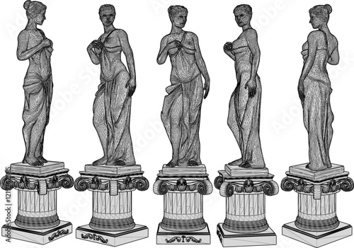 Vector illustration design of beautiful woman statue ornament decoration classic vintage ethnic roman greek