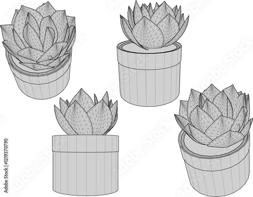 vector illustration of a succulent cactus plant to decorate the interior of the house 