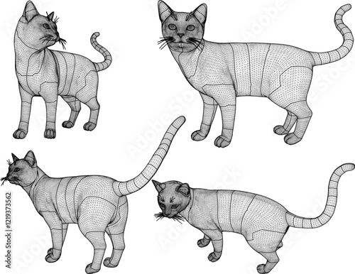 vector illustration of cute cat animal design without fur  
