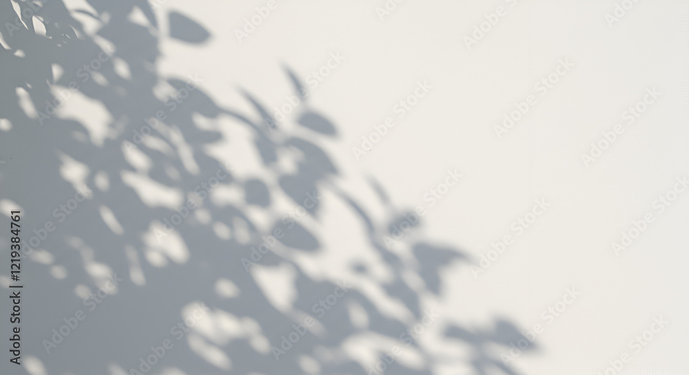 Abstract natural tree leaves shadow on white wall background. Abstract natural tree leaves shadow on white wall background.