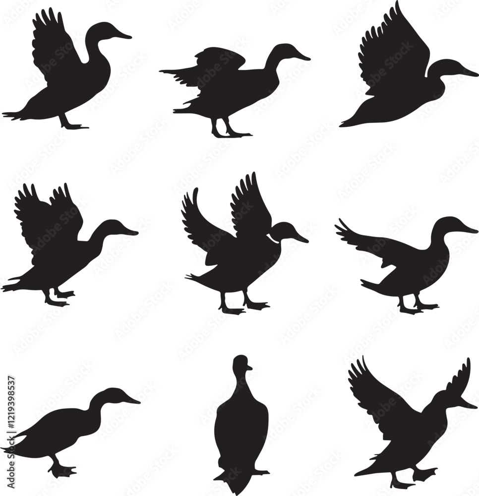 Naklejka premium Vector silhouette image