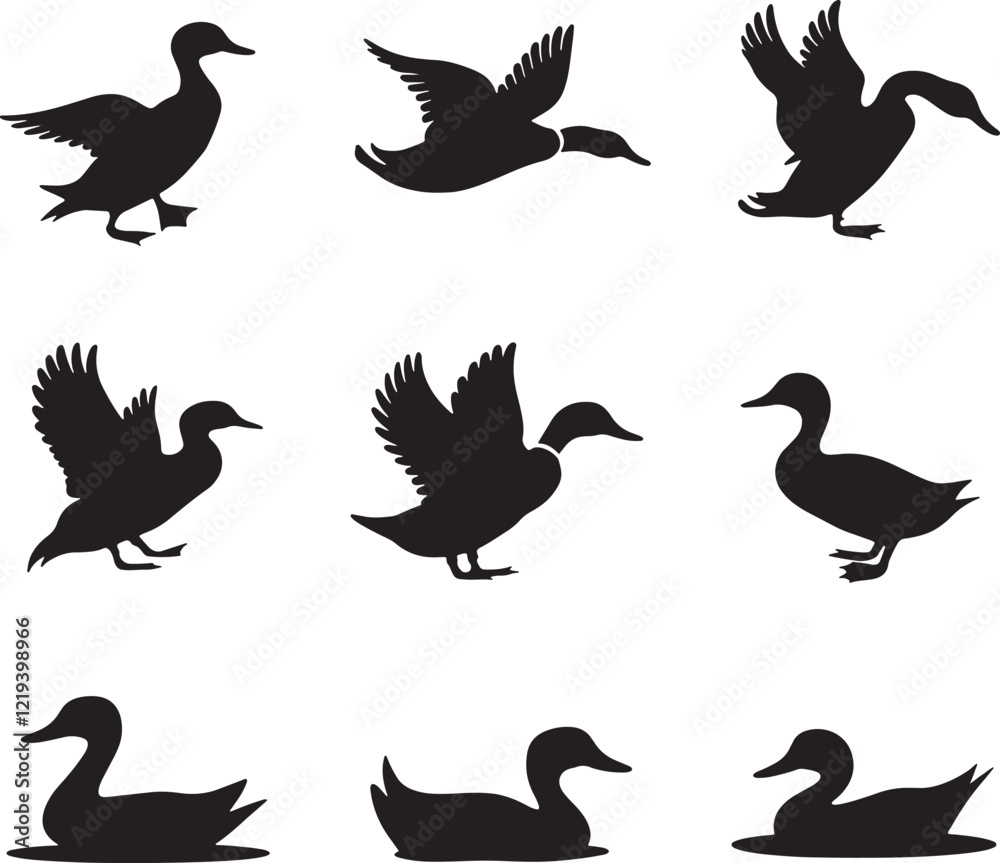 Obraz premium Set Of Ducks Silhouette Vector Illustration