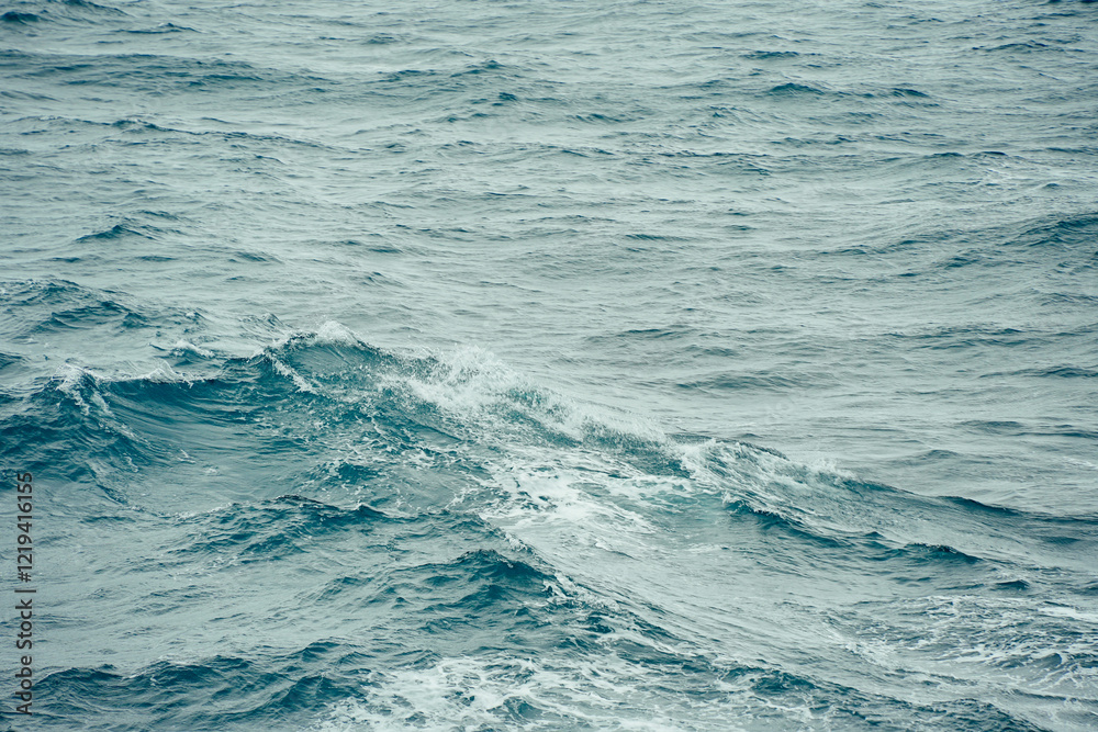 Obraz premium Gulf of mexico, Florida, USA gulf of mexico landscape seen from a cruise ship