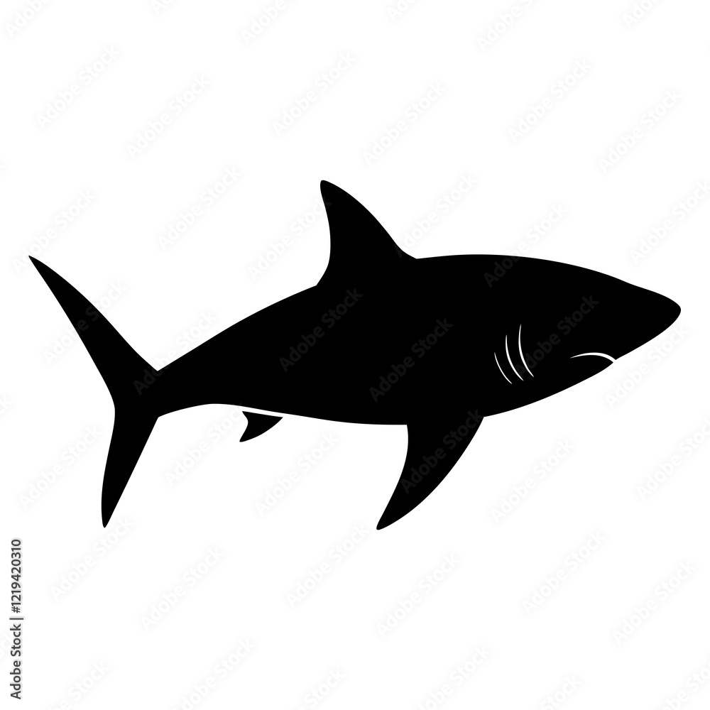 Obraz premium shark illustration
