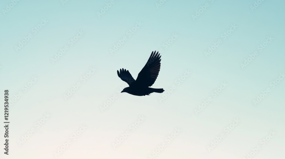 Silhouette of a bird in flight against a clear sky. Silhouette of a bird in flight against a clear sky.