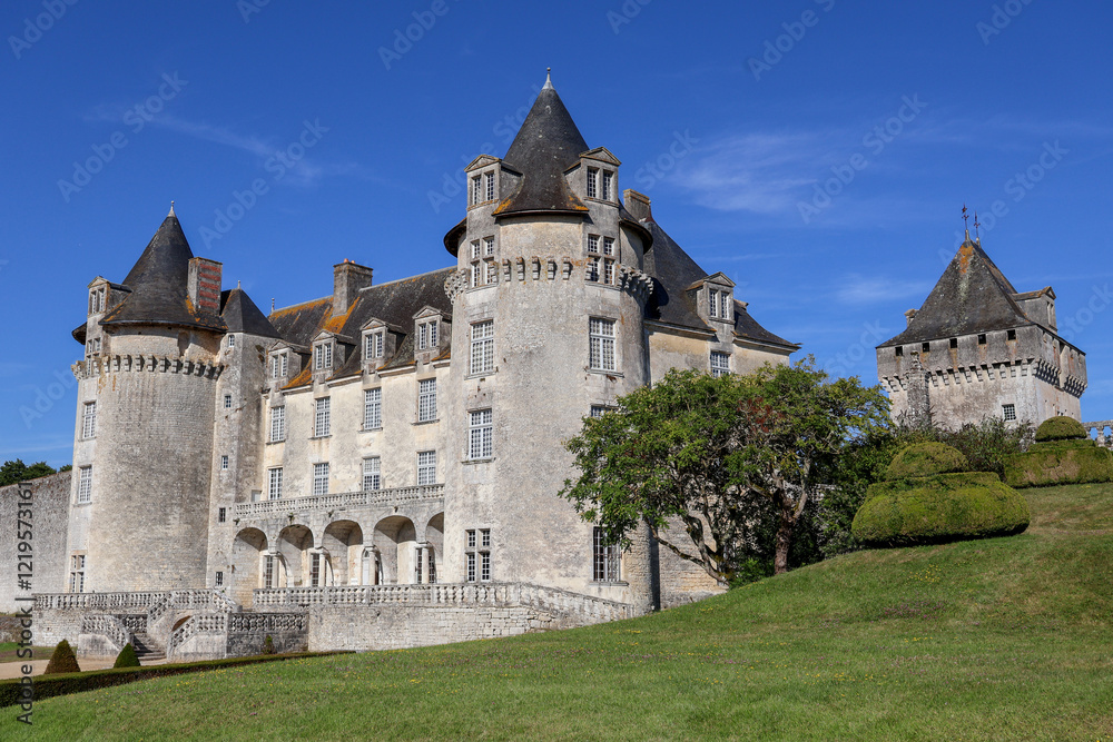 Fototapeta premium Castillo la roche courbon