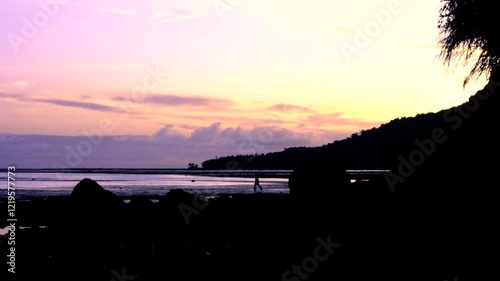 Sunset wader