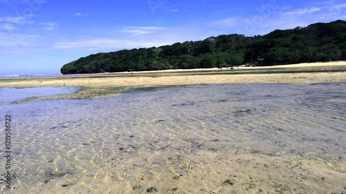 Low beach flyby