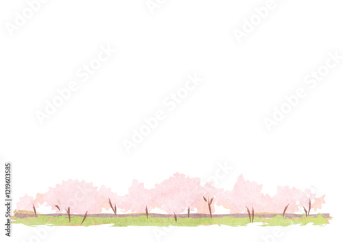 水彩風の桜並木の風景イラスト