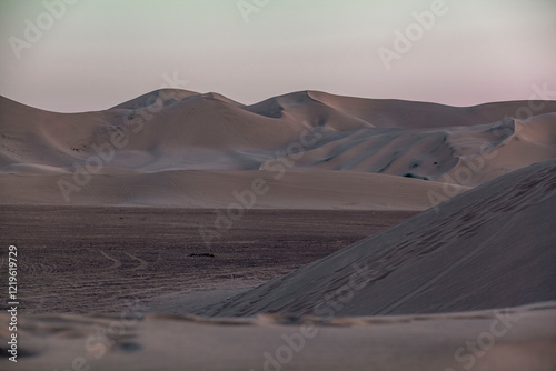 Fototapeta Naklejka Na Ścianę i Meble -  Sand Dunes in the Desert