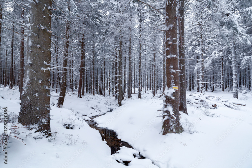 Karkonosze National Park in winter, Poland Karkonosze National Park in winter, Poland