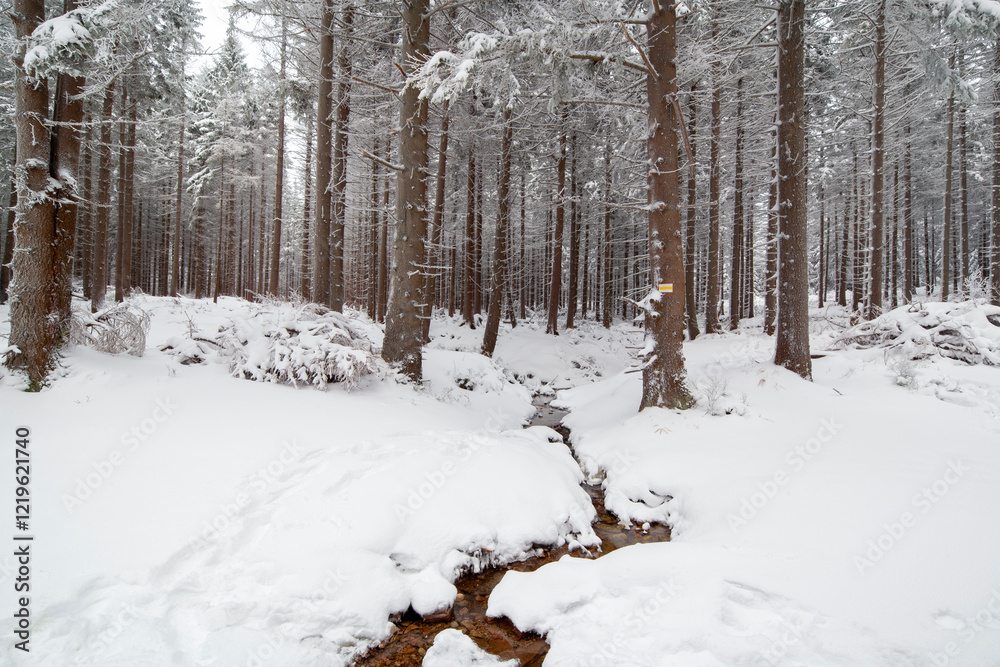 Fototapeta premium Karkonosze National Park in winter, Poland