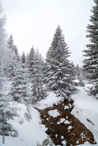 Fototapeta Naklejka Na Ścianę i Meble -  Karkonosze National Park in winter, Poland