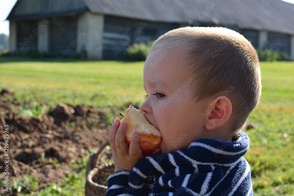 White toddler boy is eating apple outdoors in country side. Kid tasty eating local fruits in rural area. White toddler boy is eating apple outdoors in country side. Kid tasty eating local fruits in rural area.