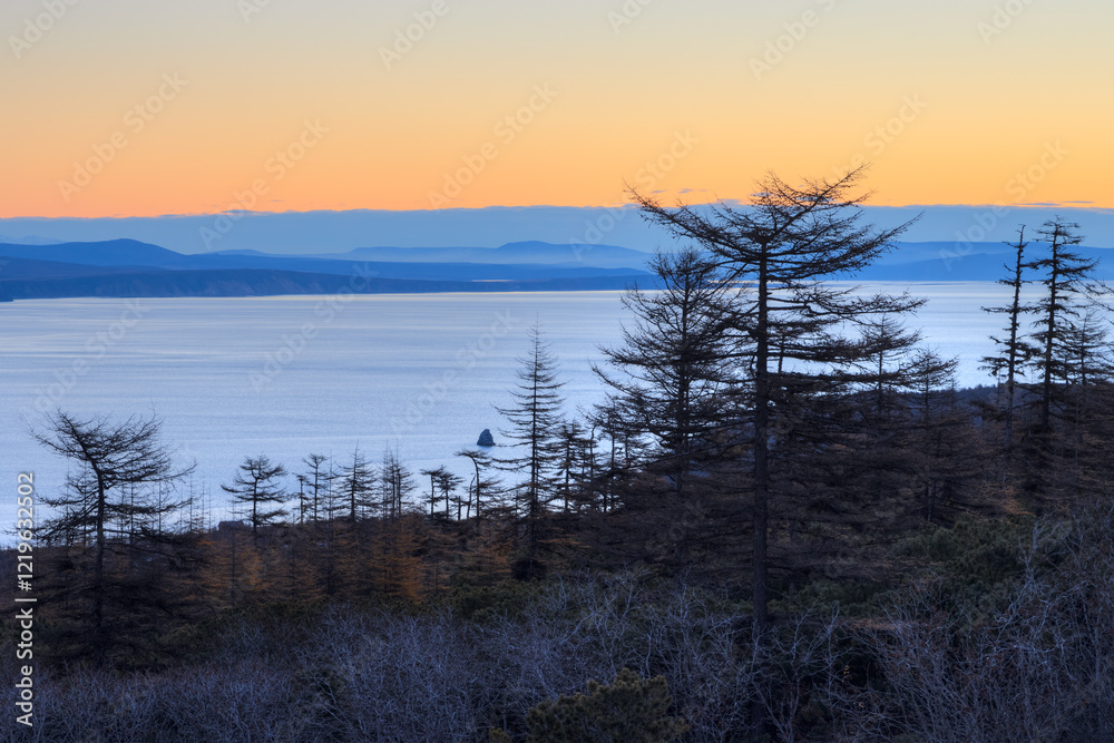 Morning landscape. View of the larch forest on the coast of the sea bay. Autumn season. Beautiful nature of Siberia and the Russian Far East. Travel, tourism and hiking in the Magadan region. Russia. Morning landscape. View of the larch forest on the coast of the sea bay. Autumn season. Beautiful nature of Siberia and the Russian Far East. Travel, tourism and hiking in the Magadan region. Russia.