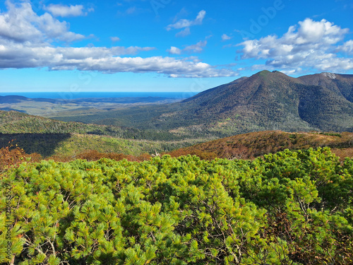 Sakhalin Island, Sakhalin Oblast, Russia. Beautiful mountain landscape. In the foreground thickets of dwarf pine. In the distance, hills and the Sea of ​​Okhotsk. Nature of the Russian Far East. photo