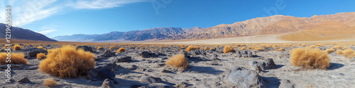 Obraz na płótnie Dry desert landscape with scattered rocks and yellow shrubs under a clear blue sky. Concept of arid and barren terrain. For travel photo. w salonie